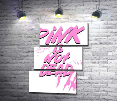 Провокуючий напис "pink is not dead"