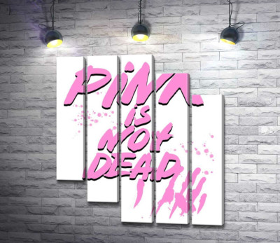 Провокуючий напис "pink is not dead"