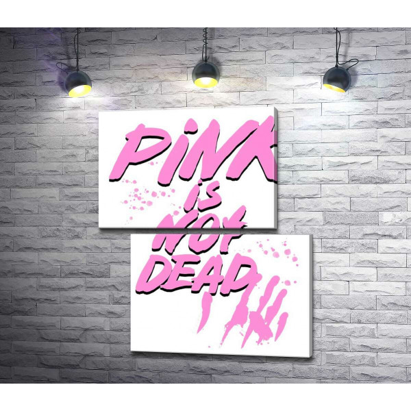 Провокуючий напис "pink is not dead"