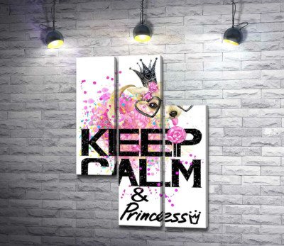 Чихуахуа в пишній спідниці з льодяником серед напису "keep calm and be princess"
