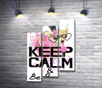 Чихуахуа в пишній спідниці з льодяником серед напису "keep calm and be princess"