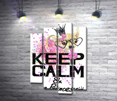 Модульная картина "Чихуахуа в пышной юбке с леденцом среди надписи "keep calm and be princess""