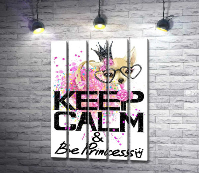 Чихуахуа в пишній спідниці з льодяником серед напису "keep calm and be princess"