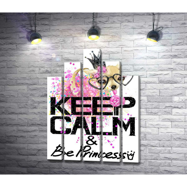 Чихуахуа в пышной юбке с леденцом среди надписи "keep calm and be princess"