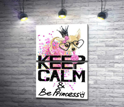 Чихуахуа в пышной юбке с леденцом среди надписи "keep calm and be princess"