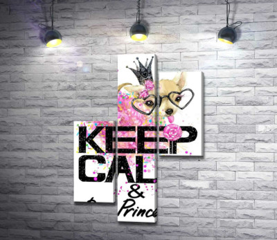 Чихуахуа в пишній спідниці з льодяником серед напису "keep calm and be princess"