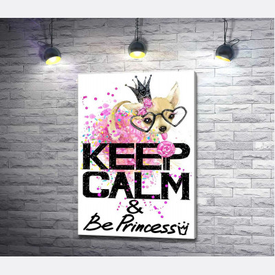 Чихуахуа в пишній спідниці з льодяником серед напису "keep calm and be princess"