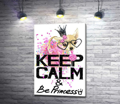 Чихуахуа в пышной юбке с леденцом среди надписи "keep calm and be princess"