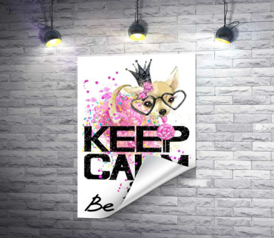 Чихуахуа в пышной юбке с леденцом среди надписи "keep calm and be princess"