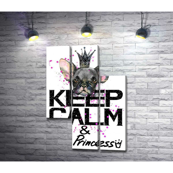 Голова бульдога видніється над написом "keep calm and be princess"