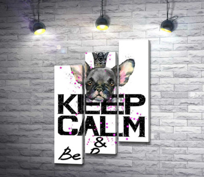 Голова бульдога виднеется над надписью "keep calm and be princess"