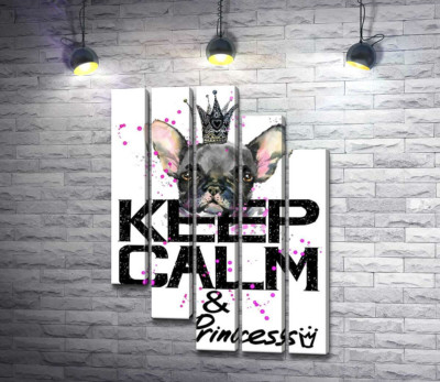 Голова бульдога виднеется над надписью "keep calm and be princess"