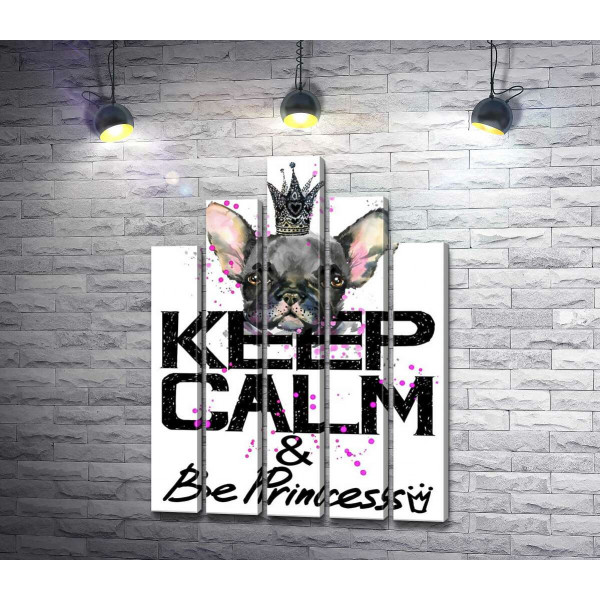 Голова бульдога виднеется над надписью "keep calm and be princess"