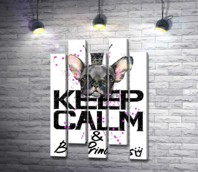 Модульная картина "Голова бульдога виднеется над надписью "keep calm and be princess""
