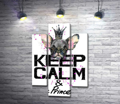 Голова бульдога видніється над написом "keep calm and be princess"