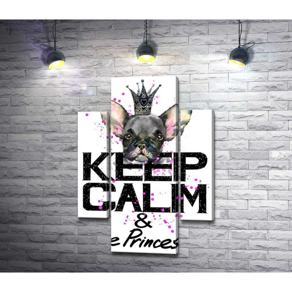 Голова бульдога виднеется над надписью "keep calm and be princess"