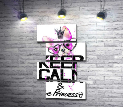 Модульная картина "Розовый бульдог в очках и короне над надписью "keep calm and be princess""