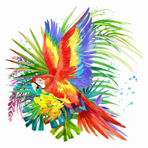 Папуга ара серед тропічних квітів