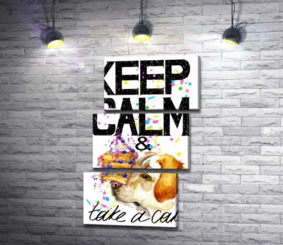 Собака с тортом на носу среди надписи " keep calm and take a cake "