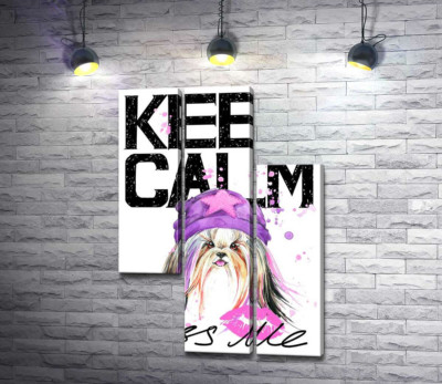 Модна собака серед напису "keep calm and kiss me"