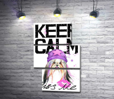 Модная собака среди надписи "keep calm and kiss me"