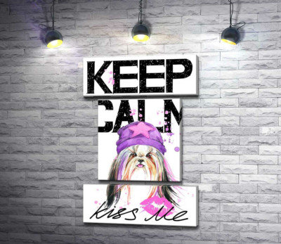 Модна собака серед напису "keep calm and kiss me"