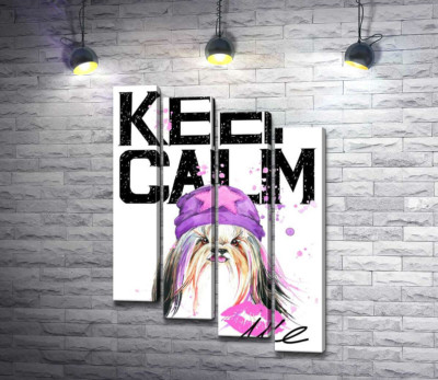 Модульна картина "Модна собака серед напису "keep calm and kiss me""