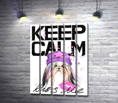 Модная собака среди надписи "keep calm and kiss me"
