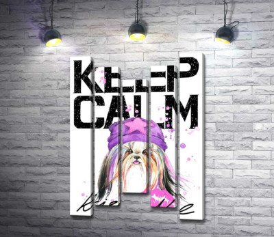 Модная собака среди надписи "keep calm and kiss me"