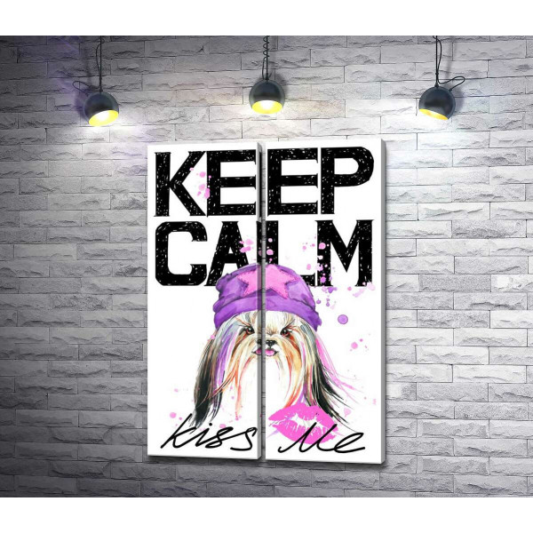Модная собака среди надписи "keep calm and kiss me"