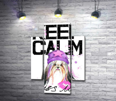 Модна собака серед напису "keep calm and kiss me"