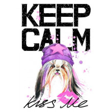 Модна собака серед напису "keep calm and kiss me"