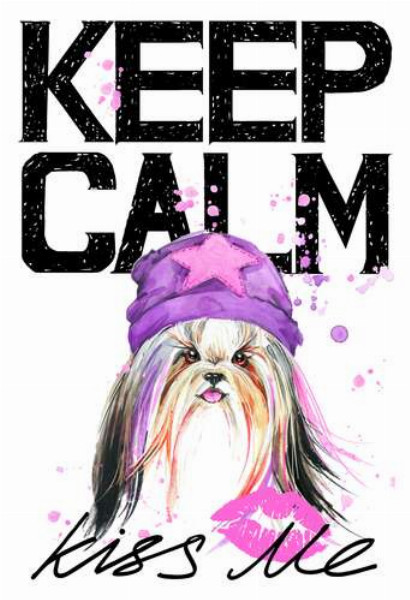 Модная собака среди надписи "keep calm and kiss me"