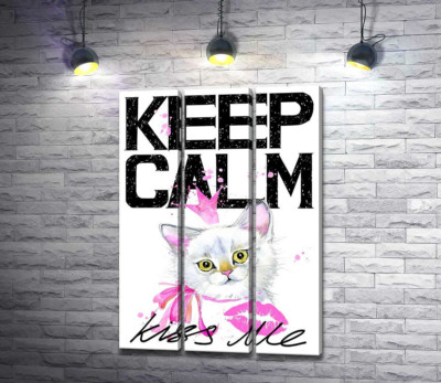 Белая кошка-принцесса среди надписи "keep calm and kiss me"