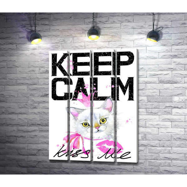 Белая кошка-принцесса среди надписи "keep calm and kiss me"