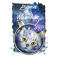 Серый кот на космическом фоне с надписью "born to wander"