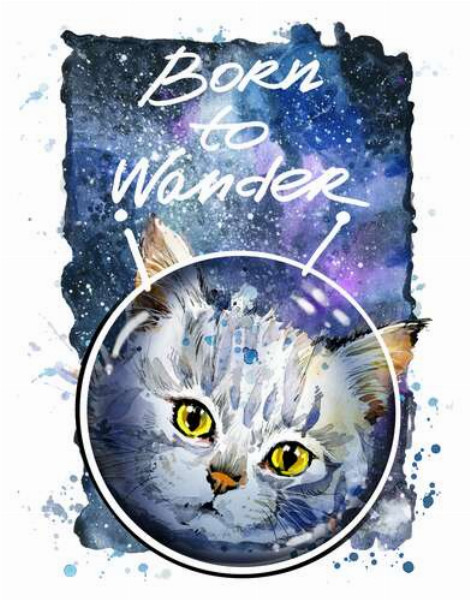 Сірий кіт на космічному фоні з написом "born to wander"