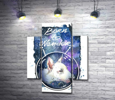 Модульная картина "Белый бультерьер в шлеме космонавта под надписью "born to wander""