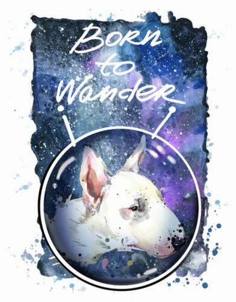 Білий бультер'єр в шоломі космонавта під написом "born to wander"