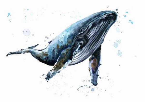 Темний силует кита