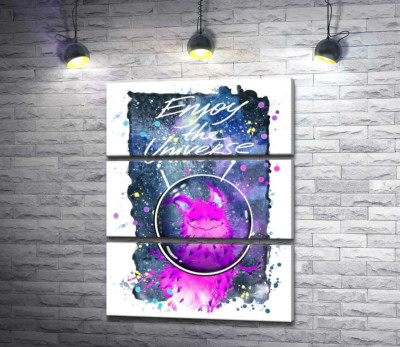 Рожевий монстр в шоломі біля напису "Enjoy the Universe"