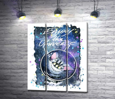 Модульная картина "Застенчивый полосатый монстр в космосе с надписью "Enjoy the Universe""