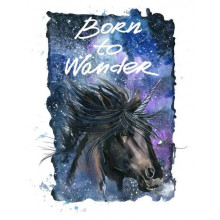 Чорний єдиноріг на космічному фоні з написом "born to wander"