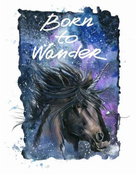 Чорний єдиноріг на космічному фоні з написом "born to wander"