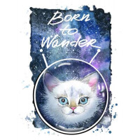Біла кішечка в космічному шоломі під написом "born to wander"
