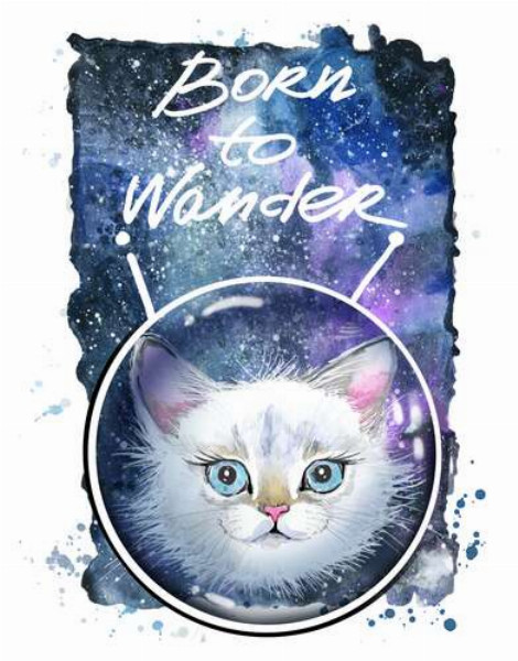 Біла кішечка в космічному шоломі під написом "born to wander"