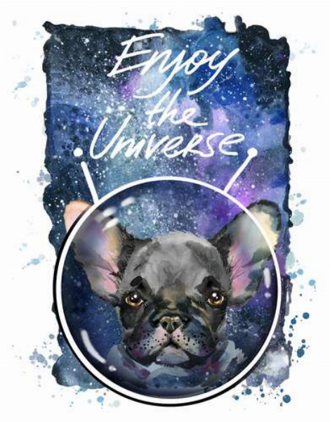 Чорний французький бульдог серед космічного простору з написом " Enjoy the Universe"