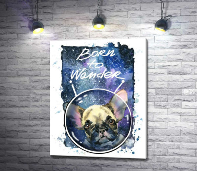 Ушастый бульдог среди космоса с надписью "born to wander"