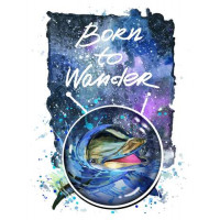 Дельфін виглядає з води в космічний простір поряд з назвою "born to wander"