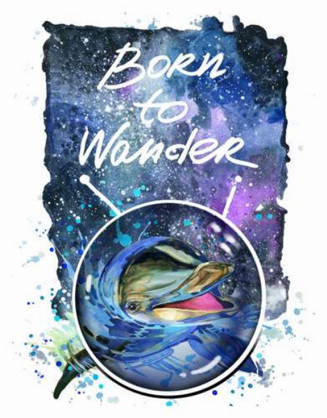 Дельфін виглядає з води в космічний простір поряд з назвою "born to wander"